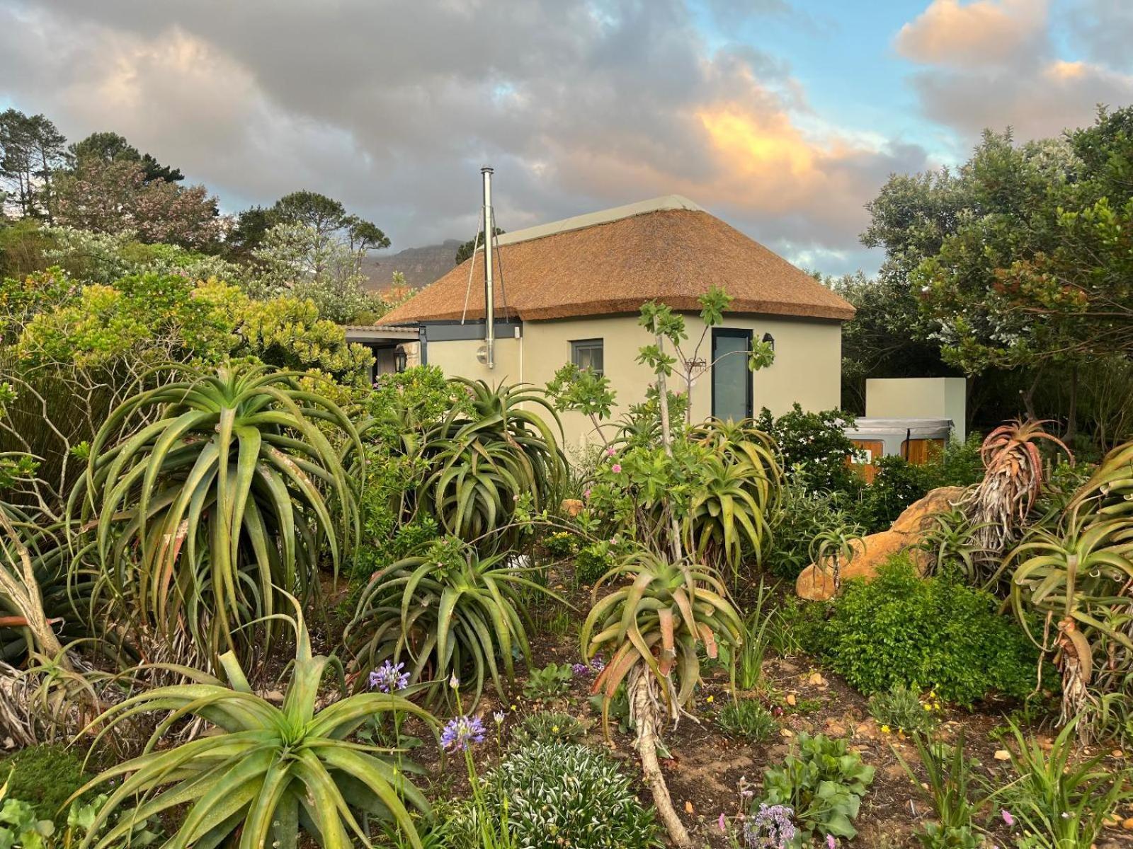 Beau'S Cape Retreat Hotel Hout Bay Room photo