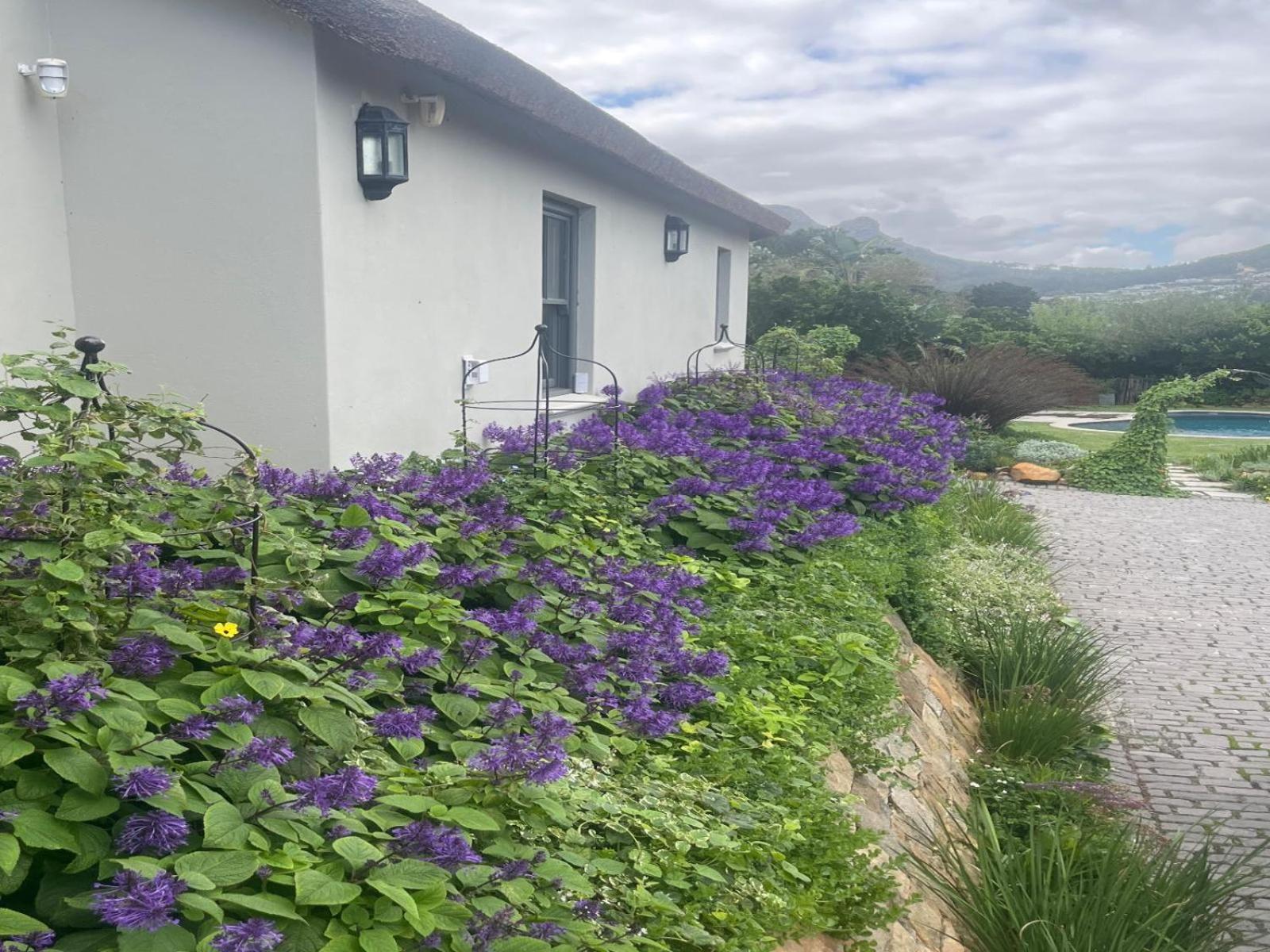 Beau'S Cape Retreat Hotel Hout Bay Exterior photo